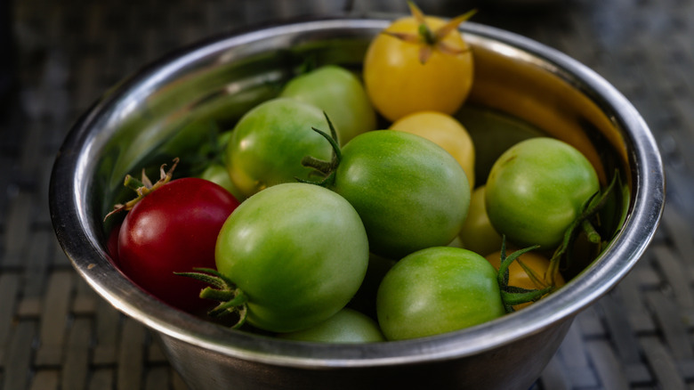 A metal bowl filled with green, red, and yellow tomatoes