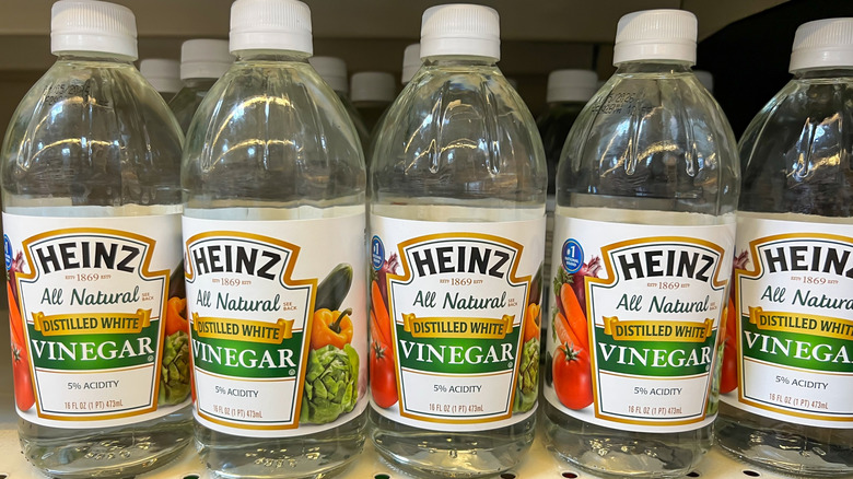 Bottles of distilled white vinegar on store shelf