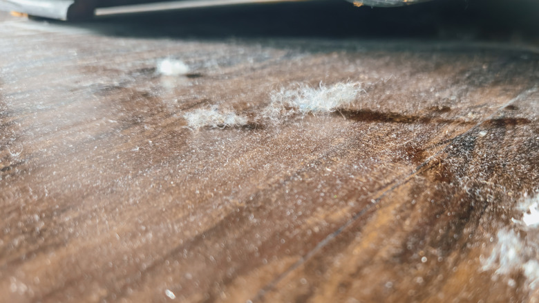 White dust bunnies all over a vinyl floor
