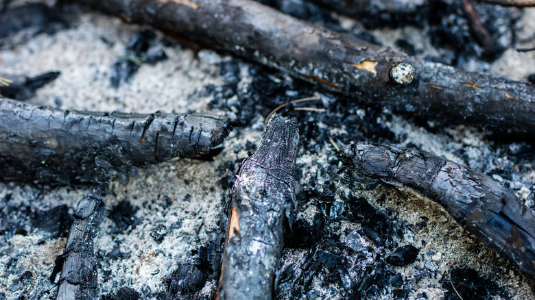 Remnants of extinguished bonfire 