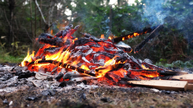 Backyard bonfire 