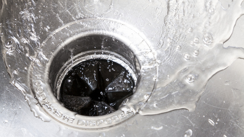 Water running in stainless steel sink with garbage disposal