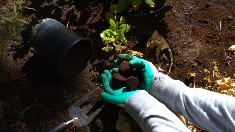 person mixing coffee grounds in soil