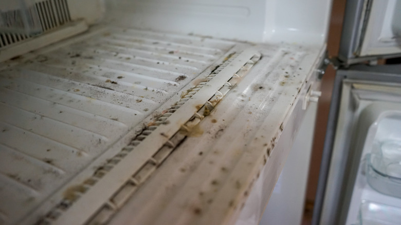 moldy fridge interior