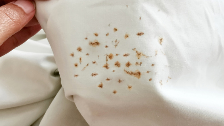 Rust stains on a bedsheet