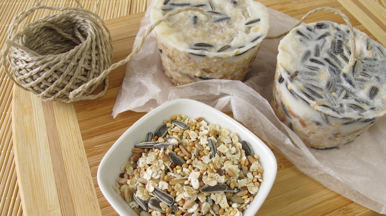 Birdfeed with oatmeal and suet cakes