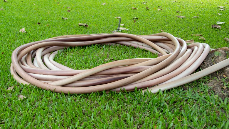 dirty coiled garden hose
