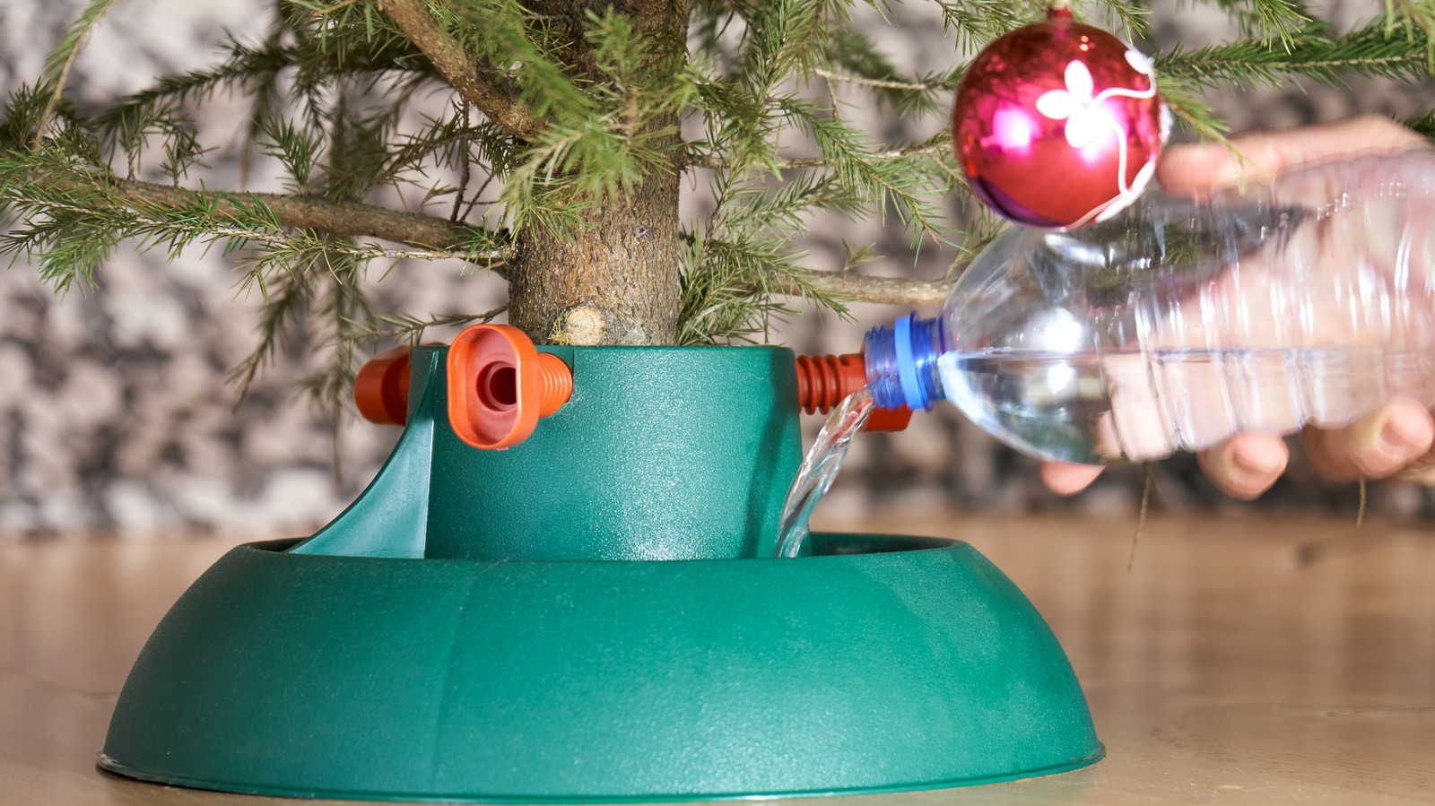 The Kitchen Tool That'll Make Watering Your Christmas Tree A Breeze