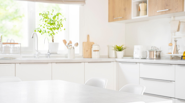 Bright kitchen with natural wood accents, plants, and a dining table.