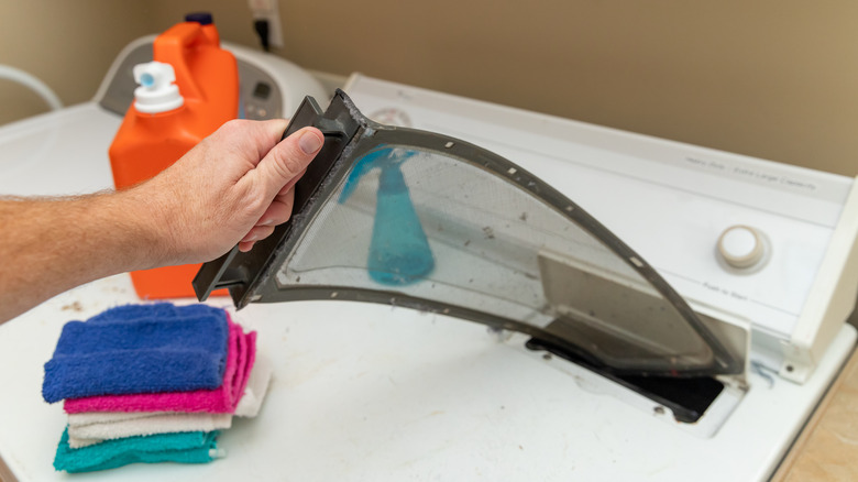 Hand lifting dryer lint trap 