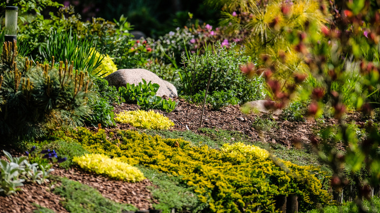 A landscape mulched with living mulches and organic materials