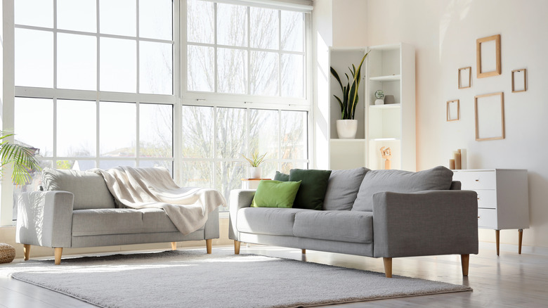 Homeowners use this laundry essential to make their sun-drenched living room smell fresh and clean.