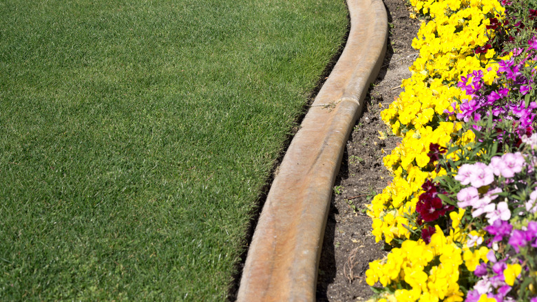 Lawn with border and flowers