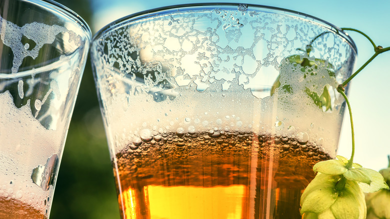 glass of beer