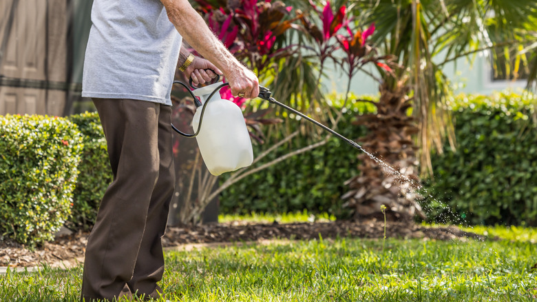 Man using a sprayer on a residential lawn