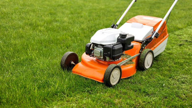 Close-up shot of orange push lawn mower