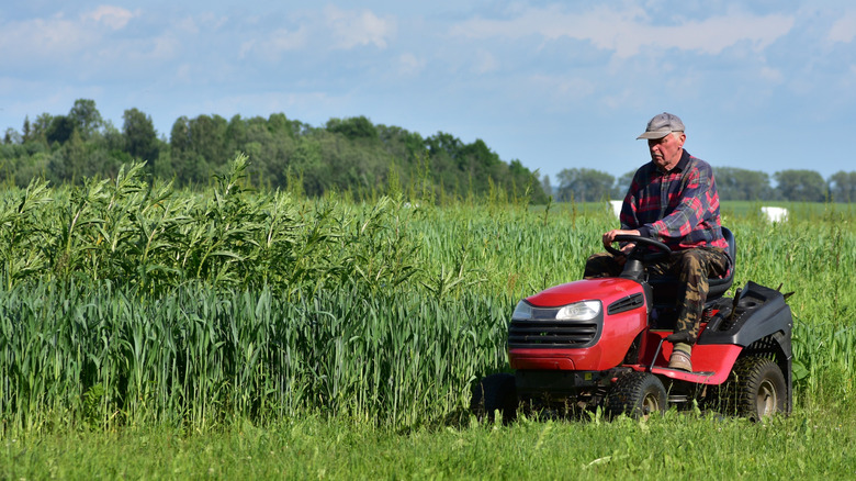 A man mowing an overgrown lawn near a field