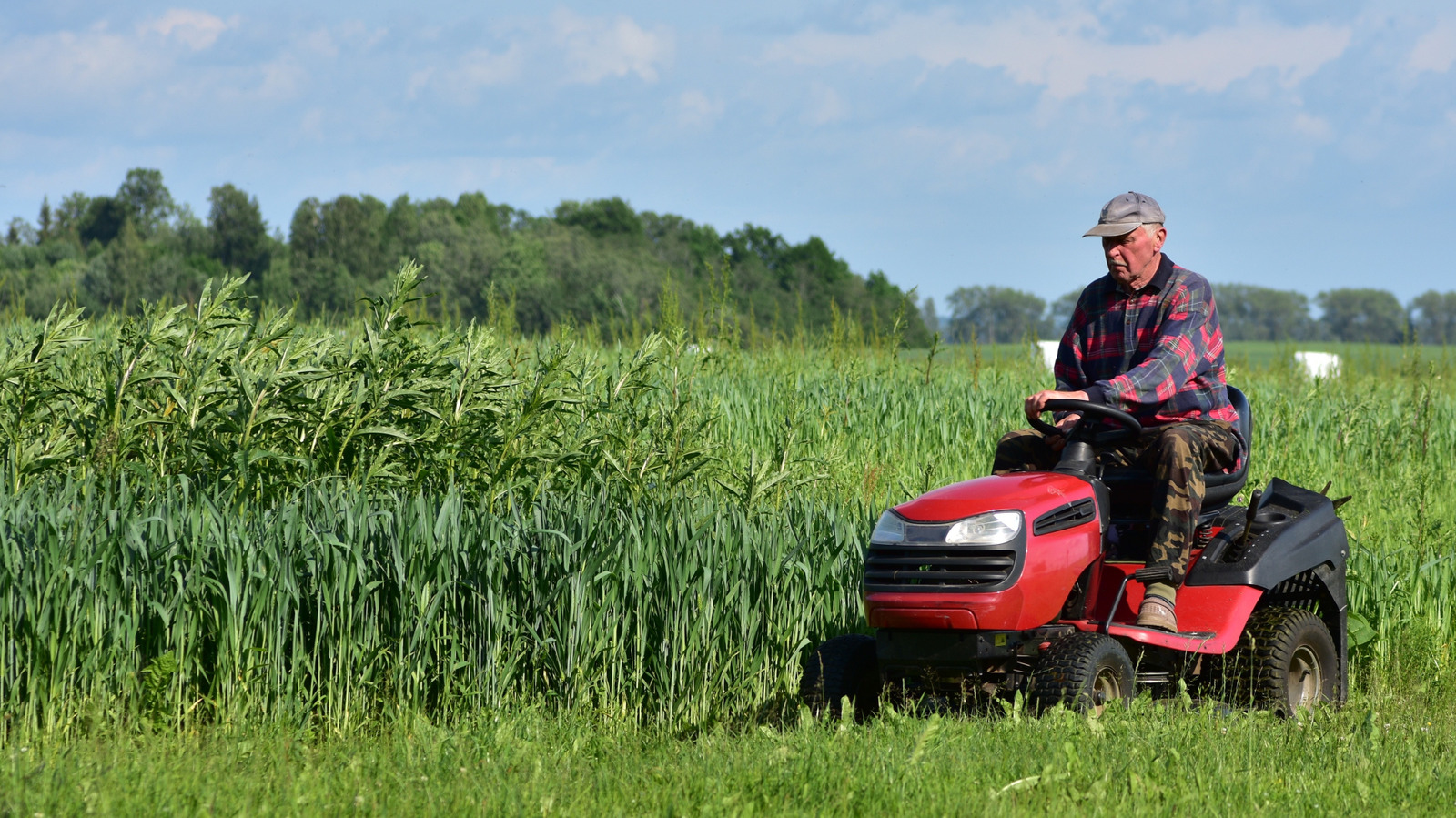 The Lawn Mower Task To Do In August To Keep It Running Smoothly