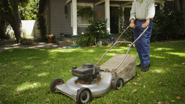 mowing a lawn in the fall with a bagged lawnmower for catching fall leaves