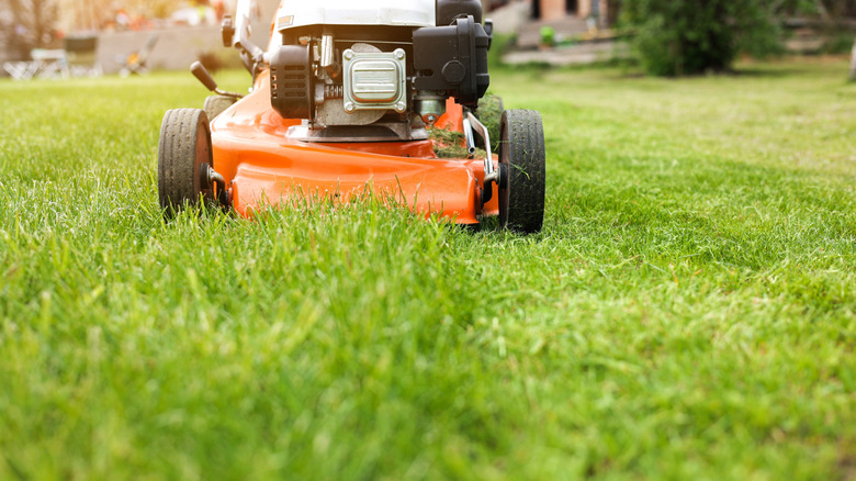 mowing the lawn close up of a lawn mower approaching
