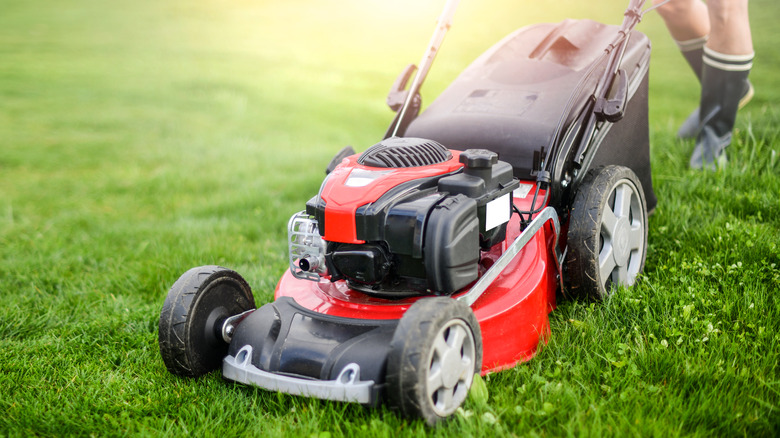 Lawn mower on grass 