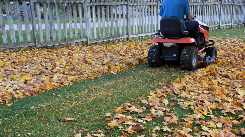 Person riding lawn mower going over leaves