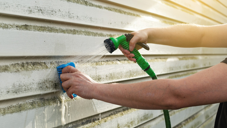 person removing mold off house exterior