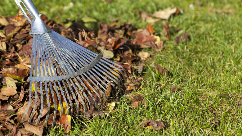 Intro to Rake