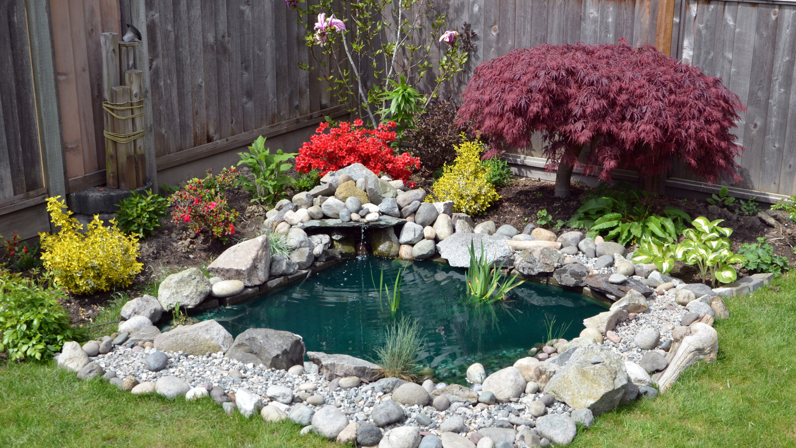 The River Rock Gravel Type That Looks Great Around Backyard Water Features