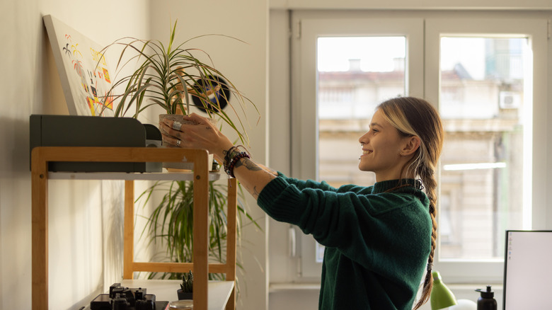 A woman smiles as she places a potted spider plant on the top shelf of a bookshelf in her apartment.