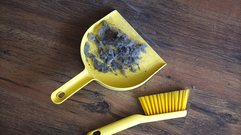 Household dust in a yellow plastic dustpan sitting on a wooden floor with a yellow brush nearby.
