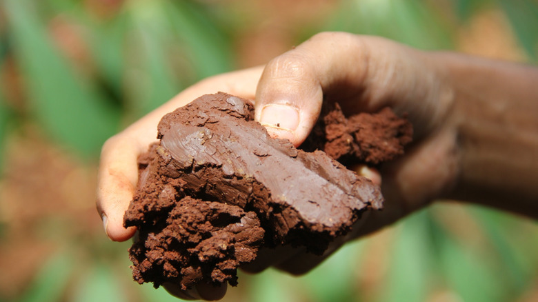Hand holding clay soil in the garden