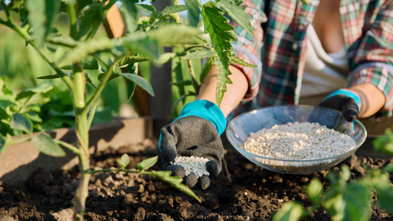Woman adding fertilizer to soil