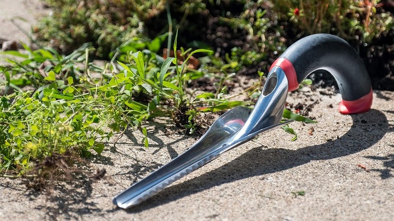Radius Garden 102 Ergonomic Aluminum Hand Weeder beside a pile of weeds