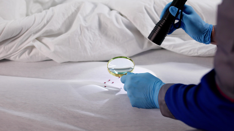 Man inspecting hotel mattress for bed bug infestation