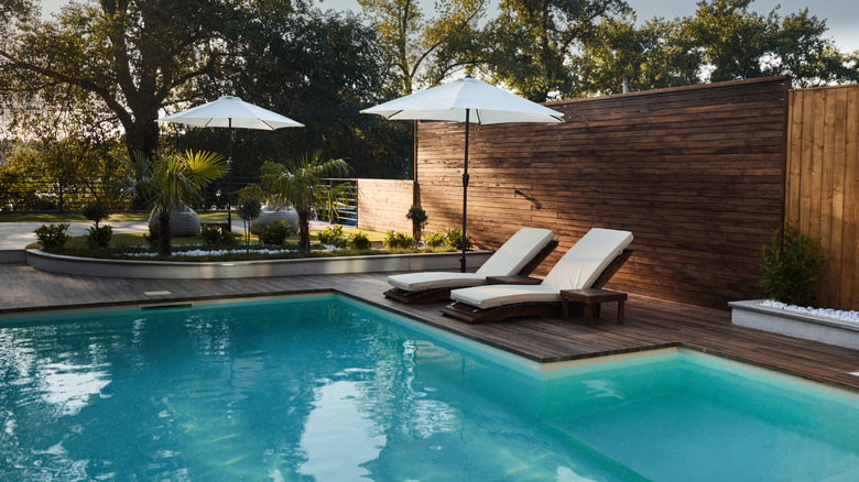 Backyard pool and patio with relaxing vibe