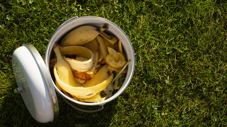 Banana peels in an open white compost bucket