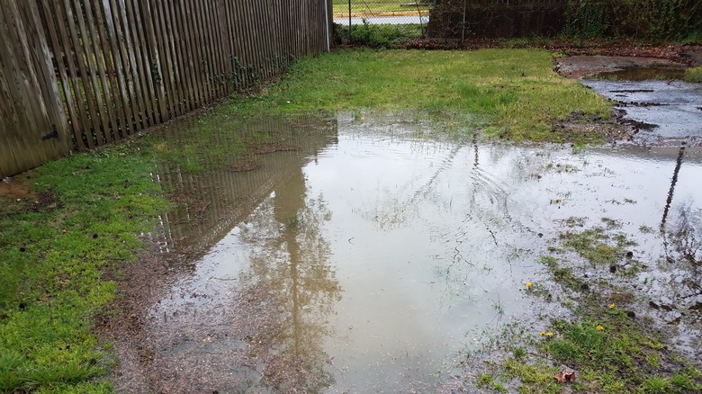 flooded backyard