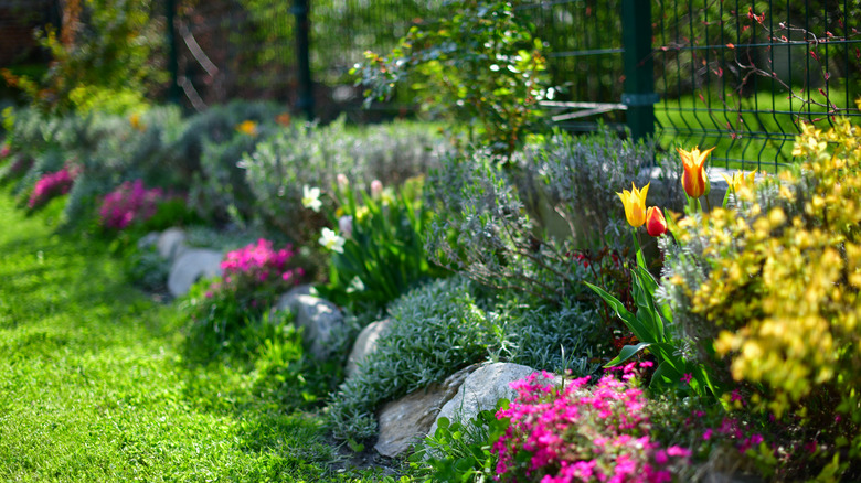Flower garden in a lawn.