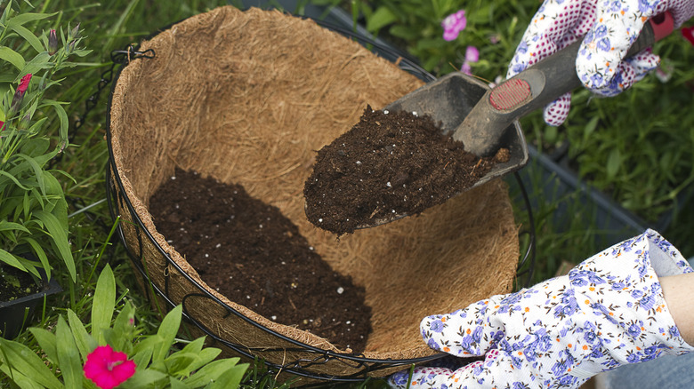 A person wearing garden gloves putting soil in a hanging basket