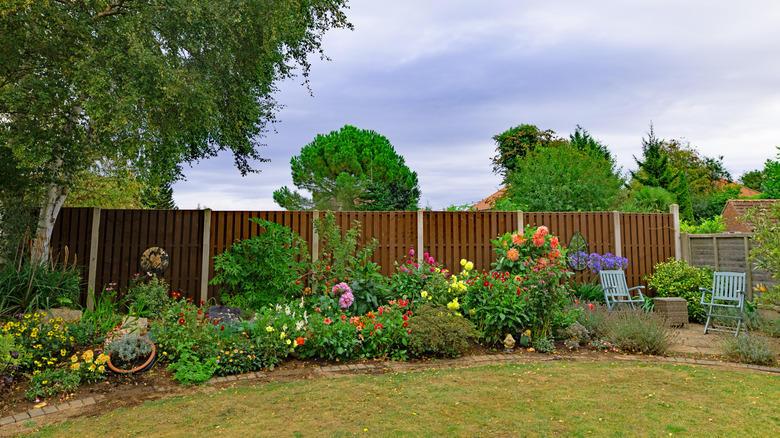Backyard with various flowers growing next to the fence.