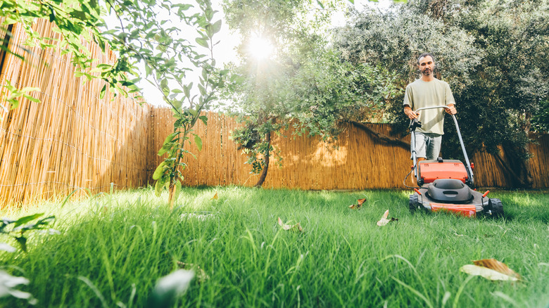 Man using a lawn mower in his yard