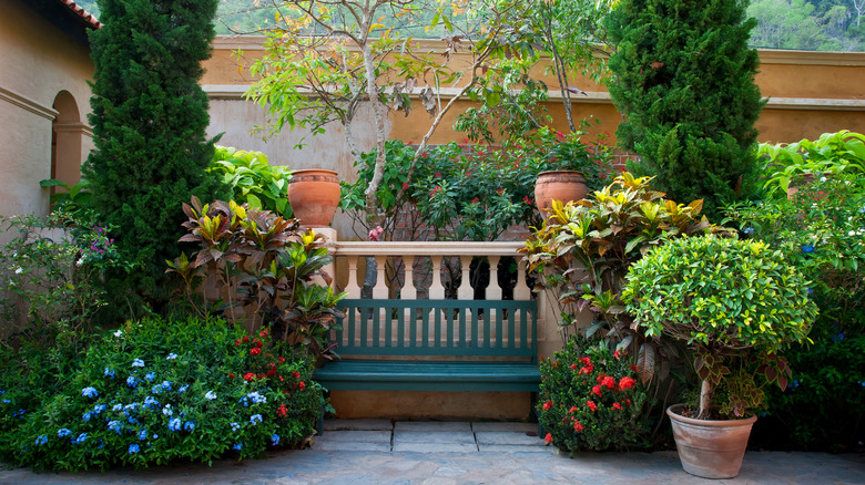 Shady backyard garden area with a green wooden bench and a few terracotta pots