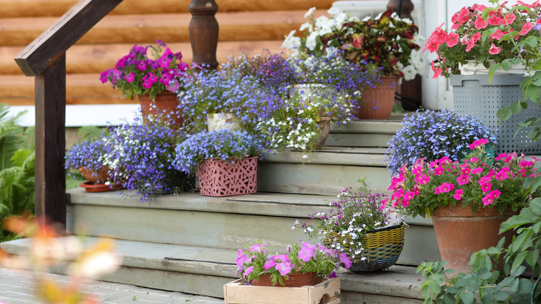 Bright flowers in pots on stairs outside