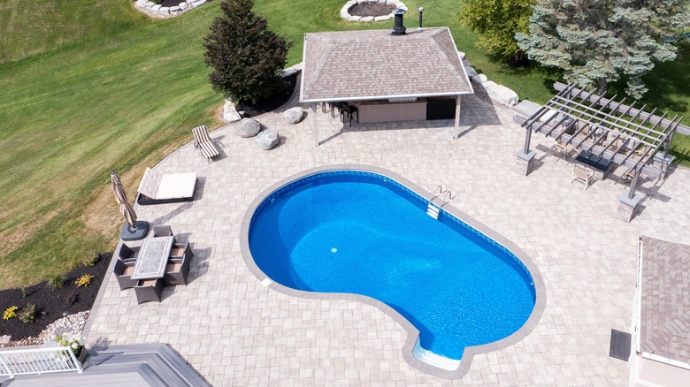 open pool without privacy plants