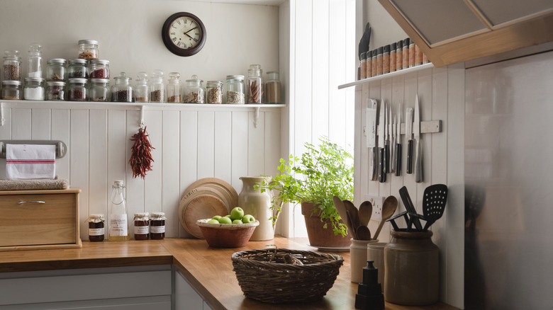 kitchen counter herbs and plants