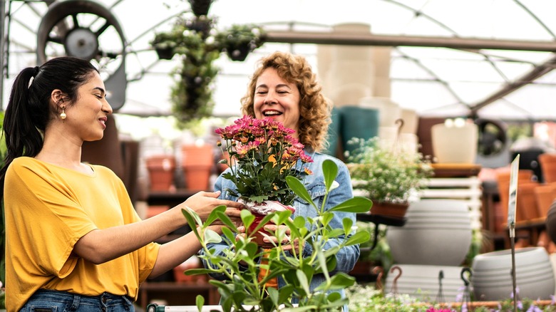 Two people in a garden center standing with a plant-filled shopping cart and smiling at a pot of flowers