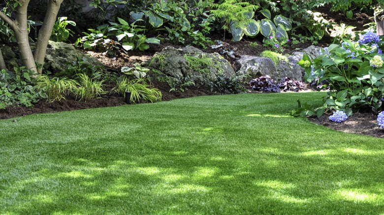 A shady yard with a lush landscaped area