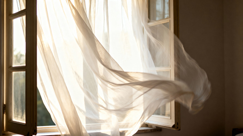 A sheer, white curtain is dramatically billowing inward through an open window, illuminated by bright backlight.