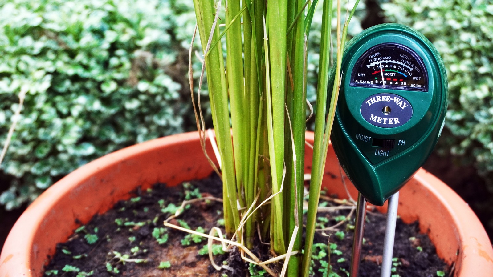 The Main Reason Why Moisture Meters Aren't Always Reliable